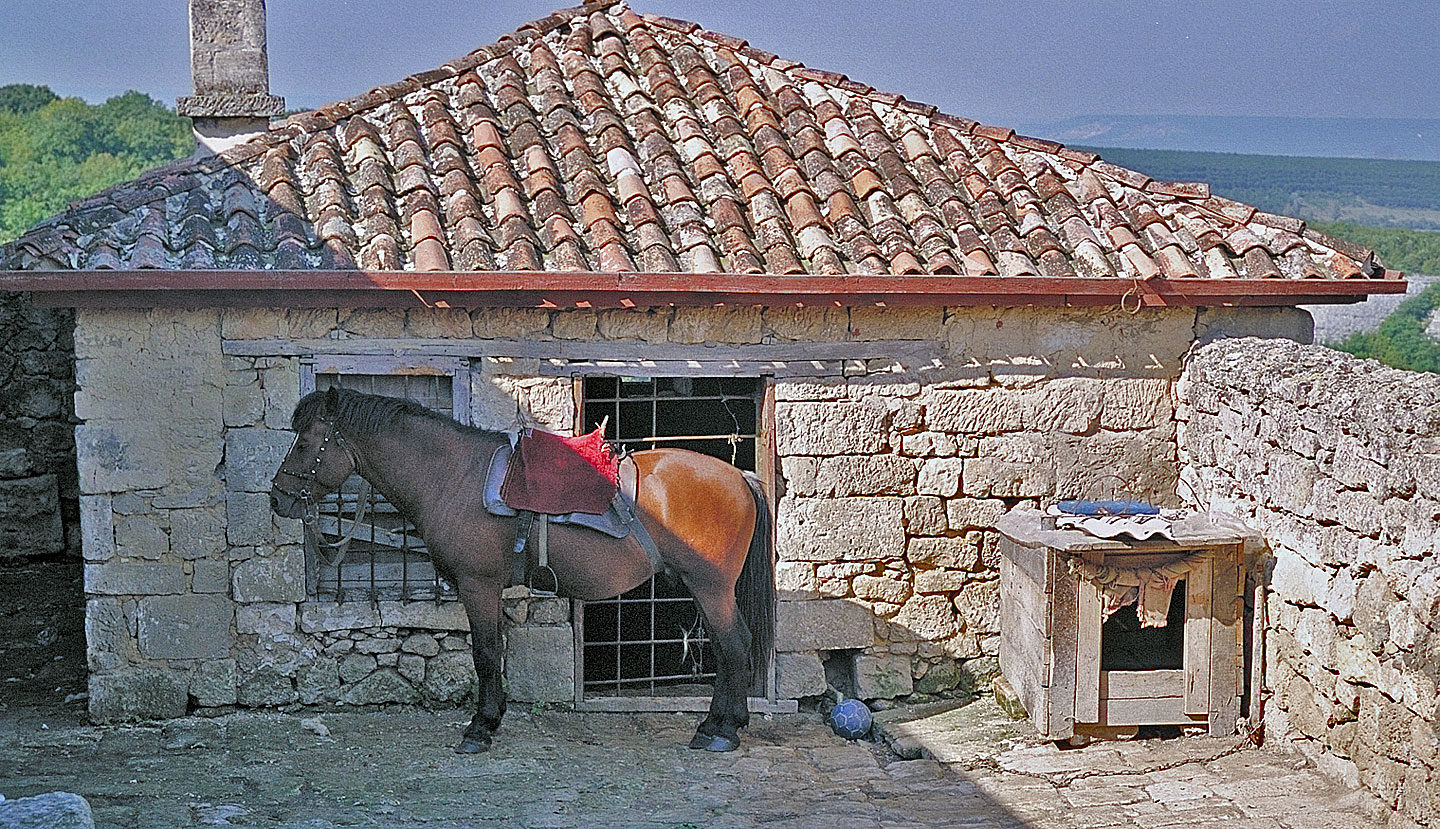 Kariate horse